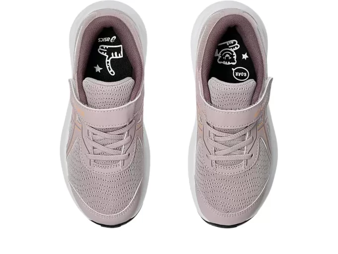 CONTEND 9 PRE-SCHOOL CONTEND 9 PRE-SCHOOL