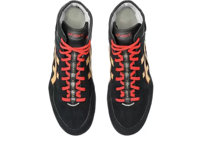 DAN GABLE EVO 3 DAN GABLE EVO 3