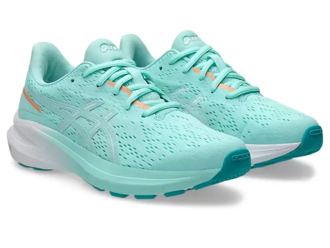 GT-1000 13 GRADE SCHOOL