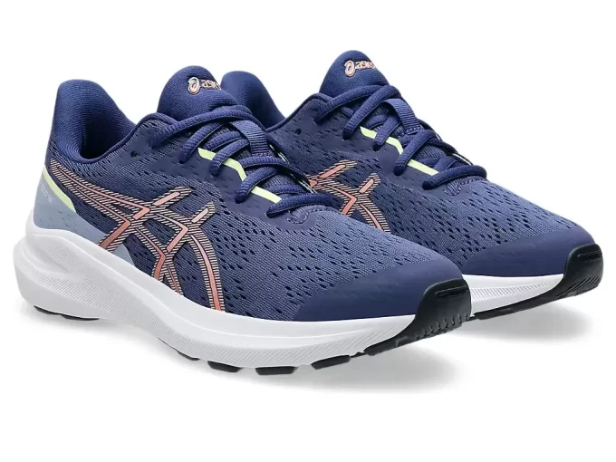 GT-1000 13 GRADE SCHOOL