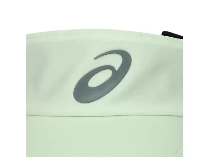 PERFORMANCE VISOR