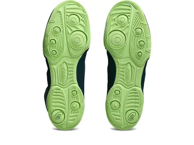 SNAPDOWN 4 GRADE SCHOOL